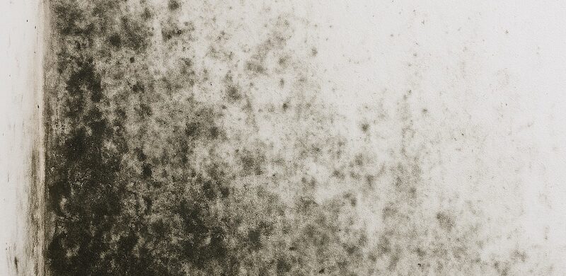 antimuffa-bagno-doccia